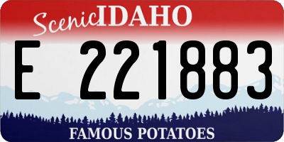 ID license plate E221883