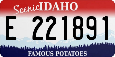 ID license plate E221891