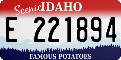 ID license plate E221894