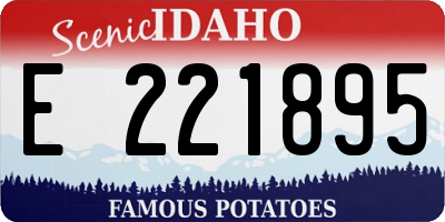 ID license plate E221895