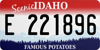 ID license plate E221896