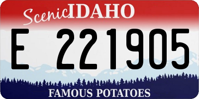 ID license plate E221905
