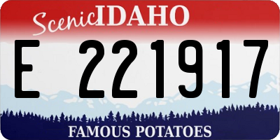 ID license plate E221917