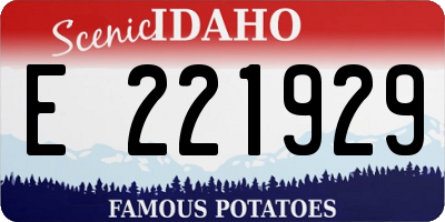 ID license plate E221929