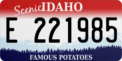 ID license plate E221985