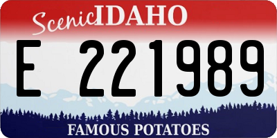 ID license plate E221989