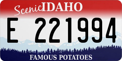 ID license plate E221994