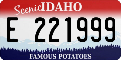 ID license plate E221999