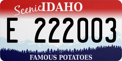 ID license plate E222003