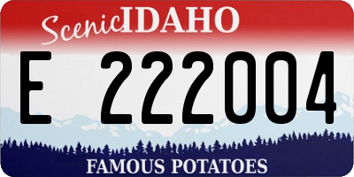 ID license plate E222004