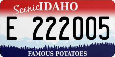 ID license plate E222005