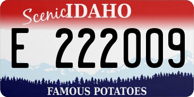 ID license plate E222009