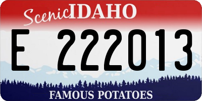 ID license plate E222013