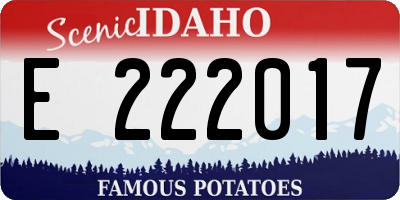 ID license plate E222017