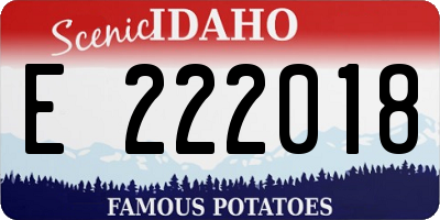 ID license plate E222018