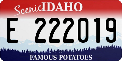 ID license plate E222019