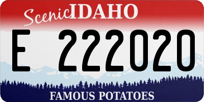 ID license plate E222020