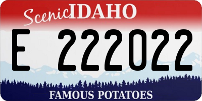 ID license plate E222022
