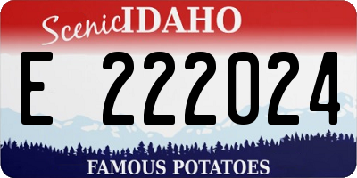 ID license plate E222024