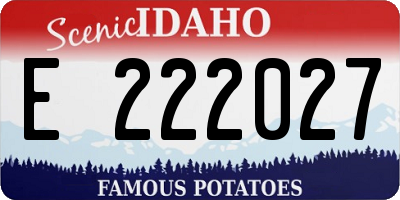ID license plate E222027