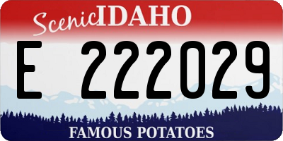 ID license plate E222029