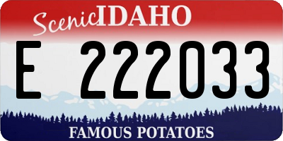 ID license plate E222033