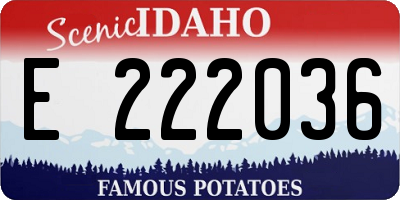 ID license plate E222036