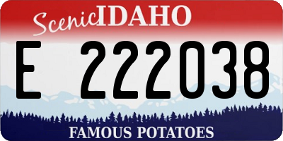 ID license plate E222038
