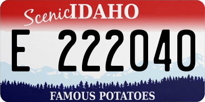 ID license plate E222040
