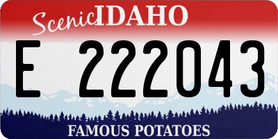 ID license plate E222043