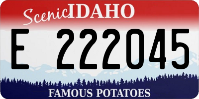 ID license plate E222045