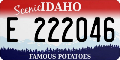 ID license plate E222046