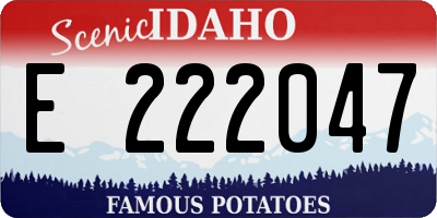 ID license plate E222047