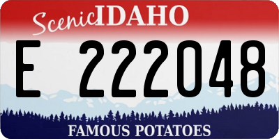ID license plate E222048