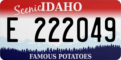 ID license plate E222049