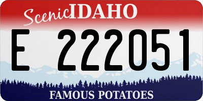 ID license plate E222051