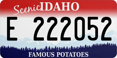 ID license plate E222052