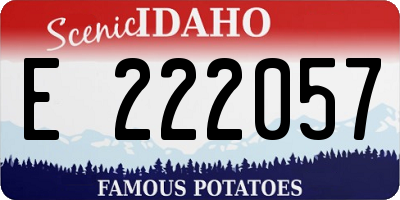 ID license plate E222057