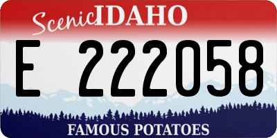 ID license plate E222058