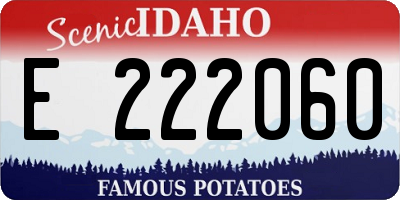 ID license plate E222060