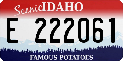 ID license plate E222061