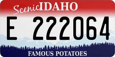 ID license plate E222064