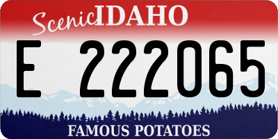 ID license plate E222065