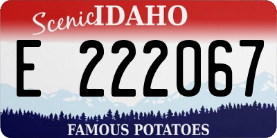 ID license plate E222067