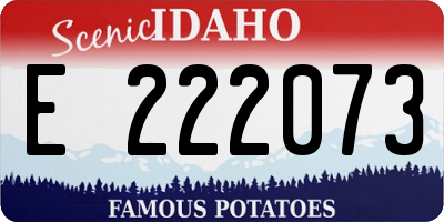 ID license plate E222073