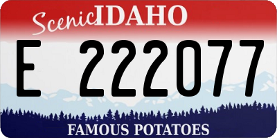 ID license plate E222077