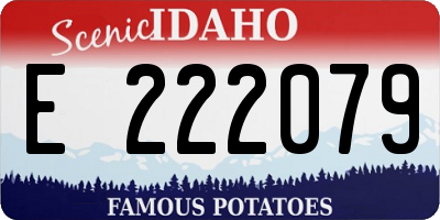 ID license plate E222079