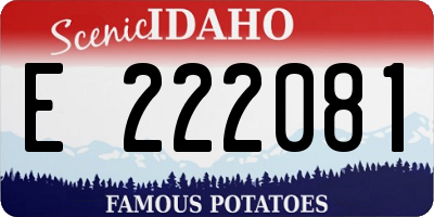 ID license plate E222081