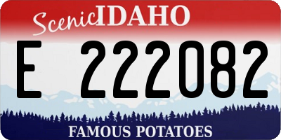 ID license plate E222082