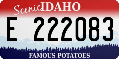 ID license plate E222083